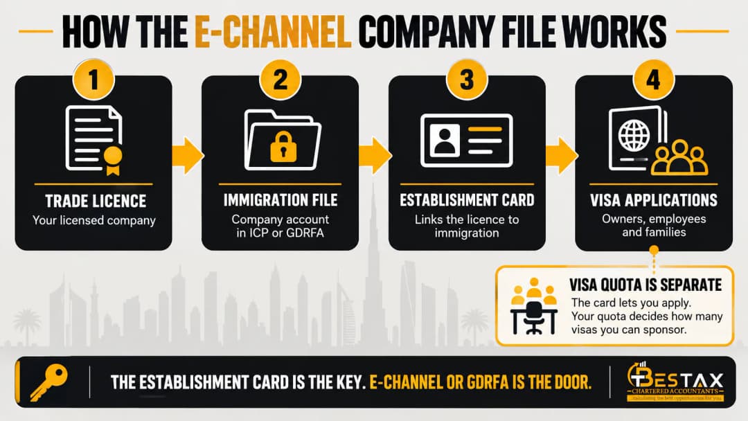 How the E-Channel company immigration file works in the UAE: the immigration file is opened, the establishment card is issued inside it, and the card is what lets the company file visas