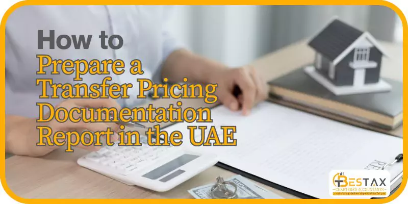 how to prepare 
Transfer Pricing Documentation