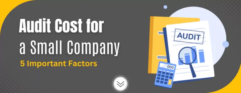 Audit Cost for a Small Company