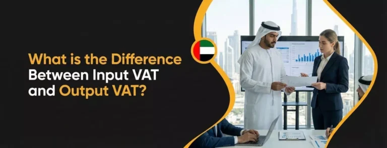 What is the Difference Between Input VAT and Output VAT