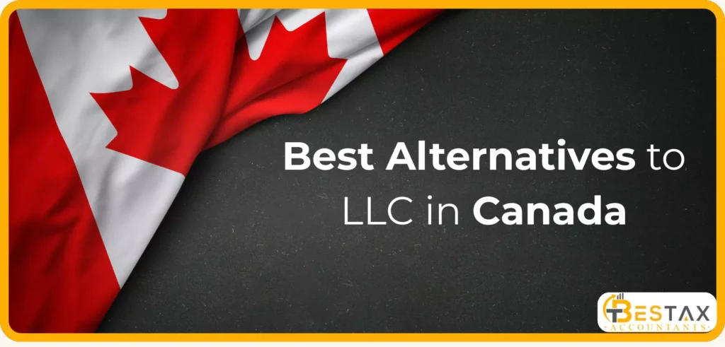 Best Alternatives to LLC in Canada