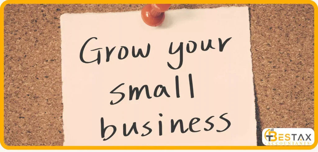 How an Accountant Can grow Your Small Business