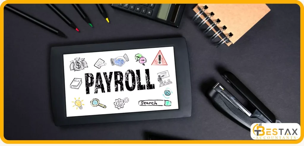 small business payroll service