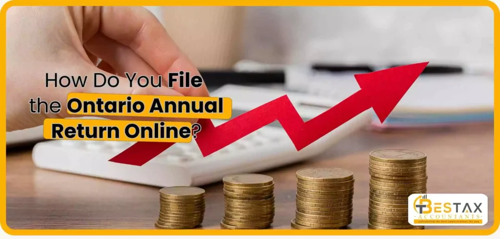 How Do You File the Ontario Annual Return Online