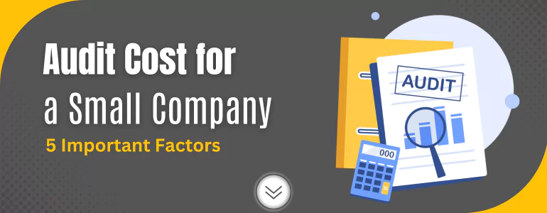 Audit Cost for a Small Company