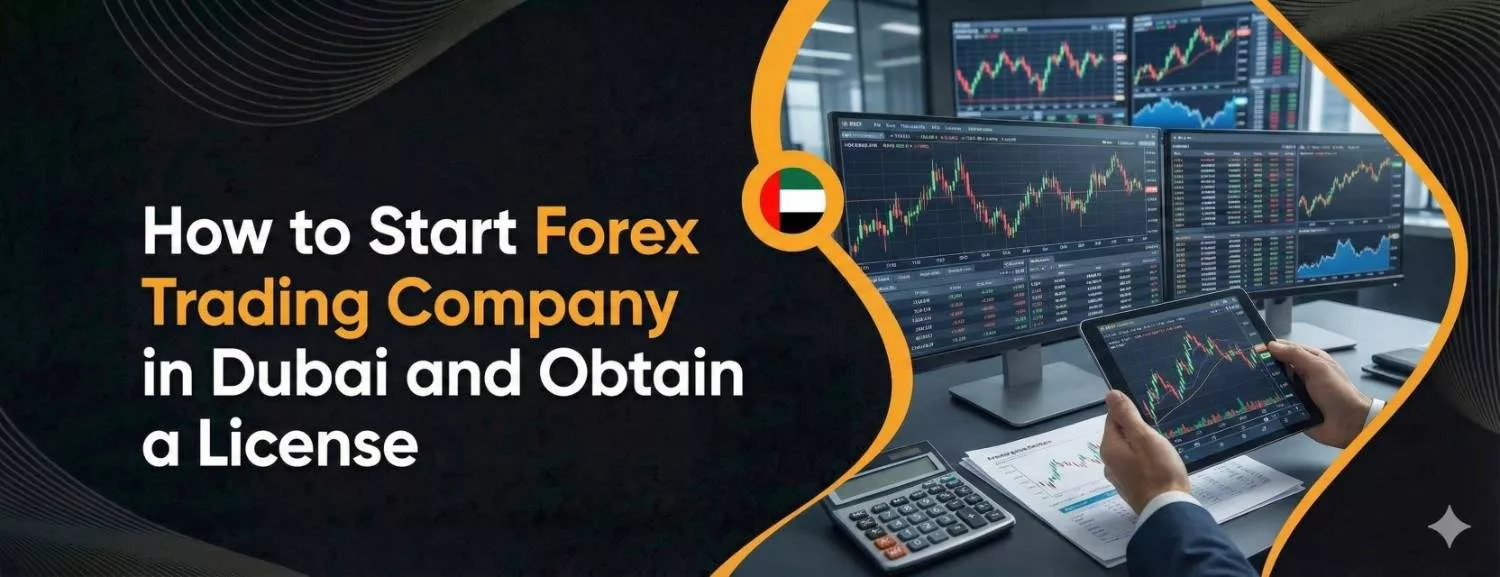 How to Start Forex Trading Company in UAE and Obtain a License