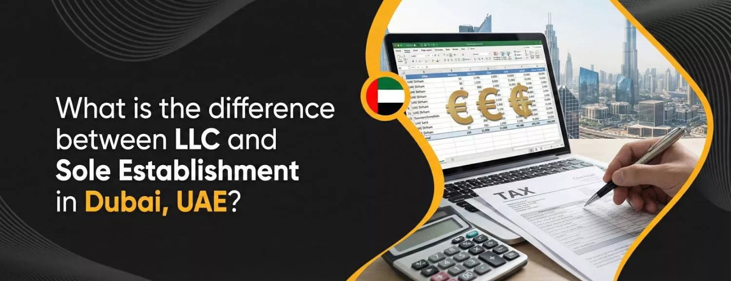 What is the Difference Between LLC and Sole Establishment in Dubai, UAE?
