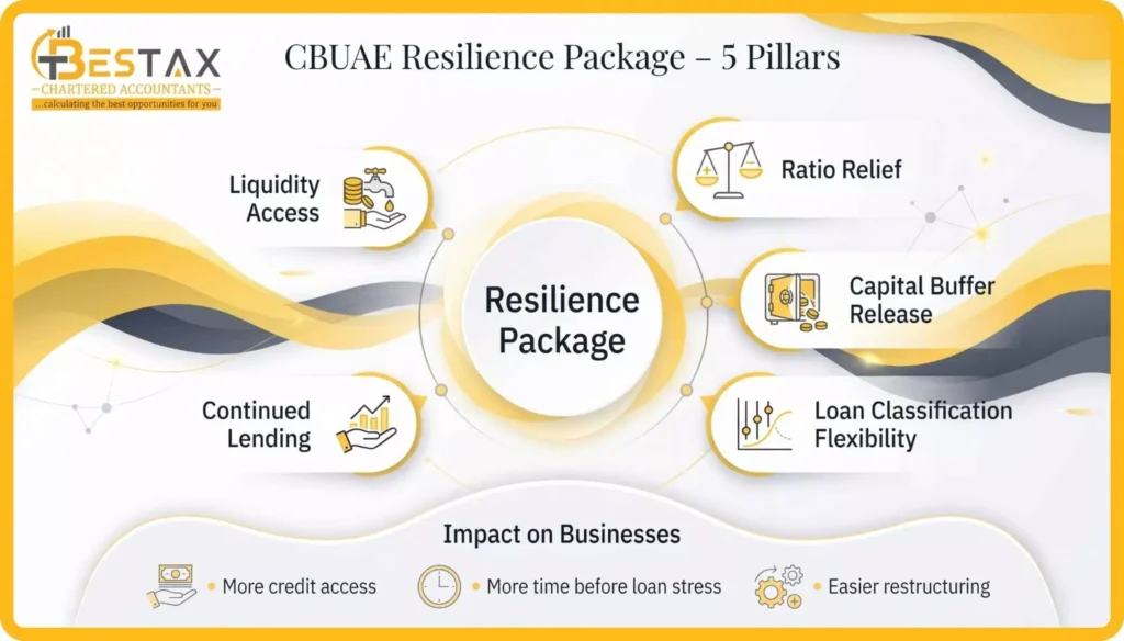5 packages of cbuae resilience package 