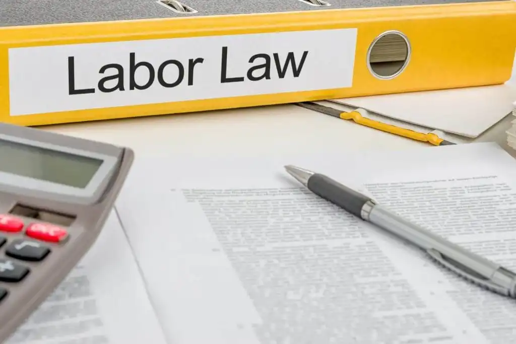 Auditing-Services-in-Dubai-1 (1)