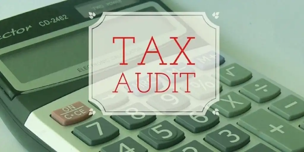 Tax-Audit